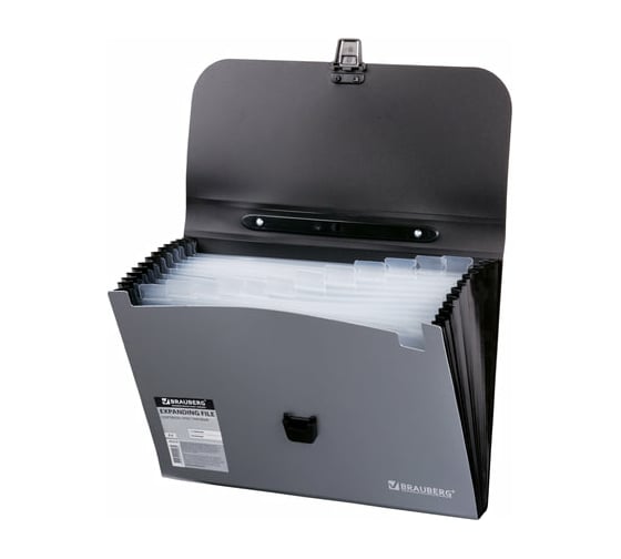 Пластиковый портфель BRAUBERG А4 327x254x30 мм, 13 отделений, индексные ярлыки, фактура диагональ 221442