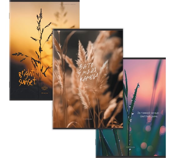 Тетрадь Staff College А4 80л, скоба, клетка, комплект 3 шт., офсет №2 ЭКОНОМ, обложка картон, ЭСТЕТИКА, 405617