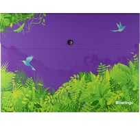 Папка-конверт на кнопке Berlingo Flower Art, А4, 330мкм, с рисунком, EFbA4S20 EFb_A4S20