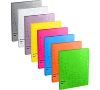 Папка с 40 вкладышами Berlingo Neon+Metallic+DoubleWhite, 24мм, 1000, DB440398 DB4_40398