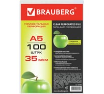 Папки-файлы BRAUBERG малого формата 148х210 мм, А5, горизонтальные, комплект 100 шт, 35 мкм 223085