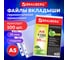 Папки-файлы BRAUBERG малого формата 148х210 мм, А5, горизонтальные, комплект 100 шт, 35 мкм 223085 2