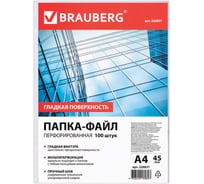 Перфорированные папки-файлы BRAUBERG А4, комплект 100 шт, гладкие, 45 мкм 226831 17490774