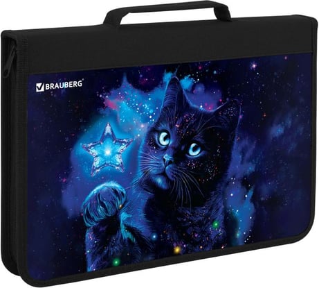Папка на молнии BRAUBERG А4 с ручкой, с органайзером, 1 отделение, Star cat, 274475
