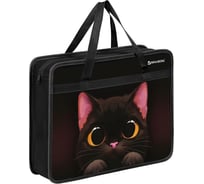 Папка на молнии BRAUBERG с ручками А4, 1 отделение, пластик, 80 мм, Big black cat, 274495