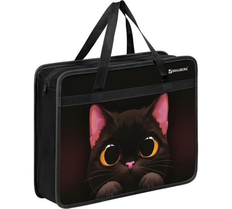 Папка на молнии BRAUBERG с ручками А4, 1 отделение, пластик, 80 мм, Big black cat, 274495