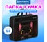 Папка на молнии BRAUBERG с ручками А4, 1 отделение, пластик, 80 мм, Big black cat, 274495 2