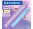 Линейки пластиковые BRAUBERG 15, 20 см пастельные, НАБОР 2 шт, европодвес, 210886 2
