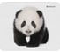 Коврик для компьютерной мыши DEFENDER Wild Animals 220x180x2 мм, 8 видов 50803 1