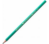 Карандаш чернографитный BIC Evolution, КОМПЛЕКТ 12 шт., HB, корпус зеленый 8803112 180093