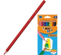 Карандаши цветные BIC Tropicolors, 12 цветов, шестигранные, 83256610, 180458