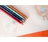 Карандаши цветные BIC Tropicolors, 12 цветов, шестигранные, 83256610, 180458 4