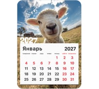 Календарь отрывной BRAUBERG на магните на 2027 г, 130×180 мм, склейка, Символ года, 118484