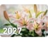Календарь карманный BRAUBERG на 2027 г, ДЭК, 64×93 мм, комплект 20 шт. (20 видов), ассорти, 118487 12