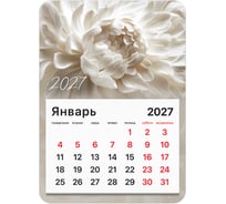 Календарь отрывной BRAUBERG на магните на 2027 г, 130×180 мм, склейка, Пион, 118336