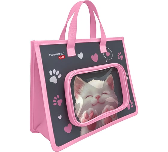 Папка BRAUBERG на молнии с ручками KIDS А4, 1 отделение, доп. карманы, пластик, Purr cat 274527
