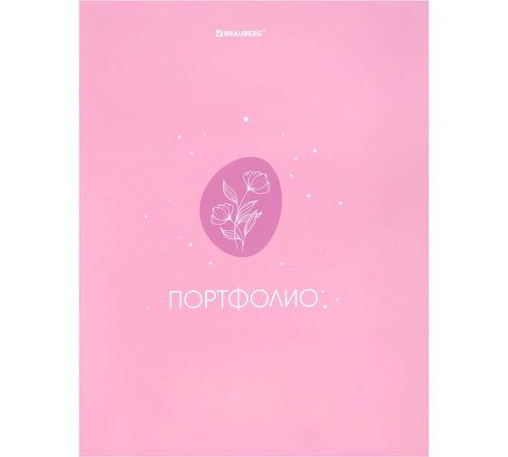 Папка-портфолио BRAUBERG универсальная, 4 кольца, 20 файлов, 7БЦ матовая, Gentle, 117558