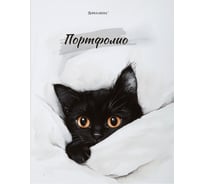 Папка-портфолио BRAUBERG универсальная, 4 кольца, 20 файлов, 7БЦ матовая, Cat, 107557, 117557
