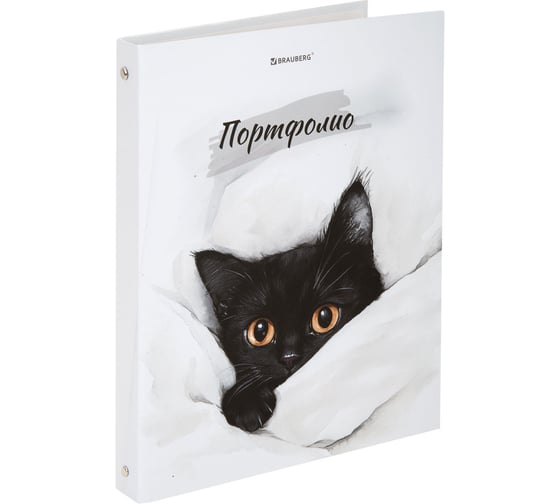 Папка-портфолио BRAUBERG универсальная, 4 кольца, 20 файлов, 7БЦ матовая, Cat, 107557, 117557