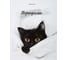 Папка-портфолио BRAUBERG универсальная, 4 кольца, 20 файлов, 7БЦ матовая, Cat, 107557, 117557 1