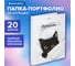 Папка-портфолио BRAUBERG универсальная, 4 кольца, 20 файлов, 7БЦ матовая, Cat, 107557, 117557 2