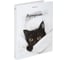 Папка-портфолио BRAUBERG универсальная, 4 кольца, 20 файлов, 7БЦ матовая, Cat, 107557, 117557 4