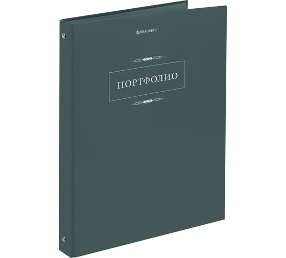 Папка-портфолио универсальная BRAUBERG 4 кольца, 20 файлов, 7БЦ матовая, Classic, 117554