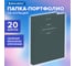 Папка-портфолио универсальная BRAUBERG 4 кольца, 20 файлов, 7БЦ матовая, Classic, 117554 2