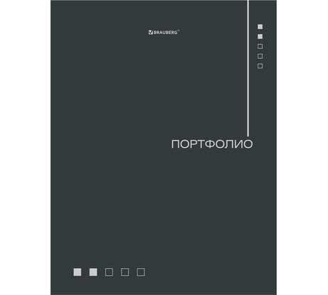 Папка-портфолио универсальная BRAUBERG 4 кольца, 20 файлов, 7БЦ матовая, Minimalism, 117553