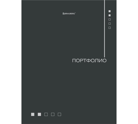 Папка-портфолио универсальная BRAUBERG 4 кольца, 20 файлов, 7БЦ матовая, Minimalism, 117553