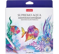 Карандаши цветные Hatber Hatber Акварельные круглый корпус 24 цв. SUPR 087448