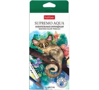 Карандаши цветные Hatber Hatber Акварельные круглый корпус 12 цв. SUPR 087450