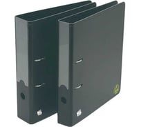 Антистатическая папка для документов Clean Control Tech А4, 2 кольца, полиуретан, 50мм, 4610391616443