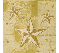 Бумажная салфетка PAPSTAR ЗВЕЗДНОЕ СИЯНИЕ 25x25 см, 3 слоя, 50 шт/уп 1/12 PS-86039