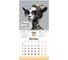 Календарь настенный перекидной 2027г BRAUBERG, 12 листов, 21,4х21,4см, МИНИ, Funny goats, 118432 9