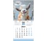 Календарь настенный перекидной 2027г BRAUBERG, 12 листов, 21,4х21,4см, МИНИ, Funny goats, 118432 15