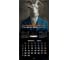 Календарь настенный перекидной 2027 г.,, 12 листов, 28,5х28,5 см, "Goat calendar", BRAUBERG 118417 8