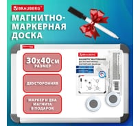 Доска магнитно-маркерная двусторонняя BRAUBERG 300x400 мм, с маркером и 2 магнитами 238989