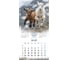 Календарь настенный перекидной 2027 г.,, 12 листов, 28,5х28,5 см, "Символ года", BRAUBERG 118414 11