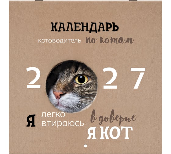 Календарь настенный перекидной BRAUBERG 2027г,, 12 листов, 28,5х28,5см, Смешные котики, 118430