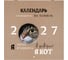 Календарь настенный перекидной 2027 г.,12 листов, 28,5х28,5 см, "Смешные котики", BRAUBERG 118430 3