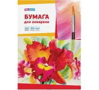 Папка для акварели ArtSpace 20 л. А3, 200г/м2 Па20А3_6657