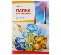Папка для акварели ArtSpace 20 л. А3, Ирисы блок рисовальная бумага 180г/м2 Па20А3_013