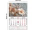 Календарь квартальный BRAUBERG Цветы 2027, 1 блок, 1 гребень, магнитный курсор 118343 3