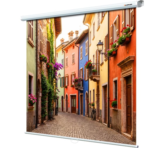 Экран настенный Lumien Eco Picture LEP-100131 120x120 см, 67", Matte White, восьмигранный корпус, потолочное/настенное крепление 155764