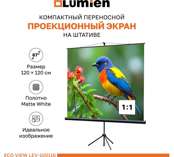 Экран на штативе Lumien Eco View LEV-100116 120x120 см, Matte White, 1:1 157558 1