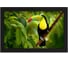 Фоторамка DIGMA 11 PF-1155 1280x800 черный пластик 16Gb Видео WiFi 2170230 1