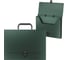 Пластиковый портфель ErichKrause Diamond Original A4, зеленый 50459 1