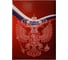 Адресная папка Attache Россия А4 ламинированный картон разноцветная 1475527 1