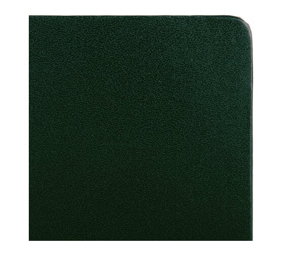 Блокнот BRAUBERG ULTRA А5 130x210 мм, балакрон, 80 г/м2, 96 листов, линия, темно-зеленый 113047